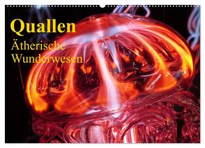 Quallen • Ätherische Wunderwesen (Wandkalender 2024 DIN A2 quer), CALVENDO Monatskalender von Stanzer,  Elisabeth