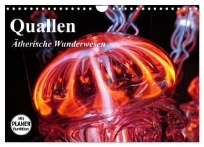 Quallen. Ätherische Wunderwesen (Wandkalender 2024 DIN A4 quer), CALVENDO Monatskalender von Stanzer,  Elisabeth