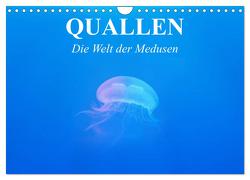 Quallen. Die Welt der Medusen (Wandkalender 2024 DIN A4 quer), CALVENDO Monatskalender von Stanzer,  Elisabeth