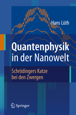 Quantenphysik in der Nanowelt von Lüth,  Hans