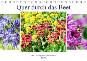 Quer durch das Beet – Die Lieblingsblüten der Insekten (Tischkalender 2020 DIN A5 quer) von Frost,  Anja