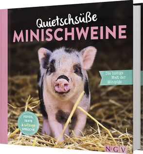 Quietschsüße Minischweine von Bensch,  Katharina