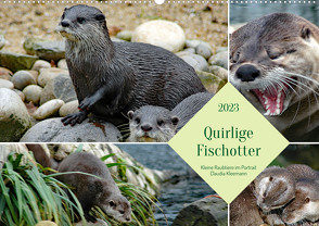 Quirlige Fischotter (Wandkalender 2023 DIN A2 quer) von Kleemann,  Claudia