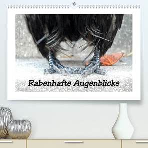 Rabenhafte Augenblicke (Premium, hochwertiger DIN A2 Wandkalender 2023, Kunstdruck in Hochglanz) von AJo. Dettlaff,  Meike