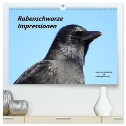 Rabenschwarze Impressionen – meike-ajo-dettlaff.de via wildvogelhlfe.org (hochwertiger Premium Wandkalender 2024 DIN A2 quer), Kunstdruck in Hochglanz von AJo. Dettlaff,  Meike