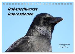 Rabenschwarze Impressionen – meike-ajo-dettlaff.de via wildvogelhlfe.org (Tischkalender 2024 DIN A5 quer), CALVENDO Monatskalender von AJo. Dettlaff,  Meike