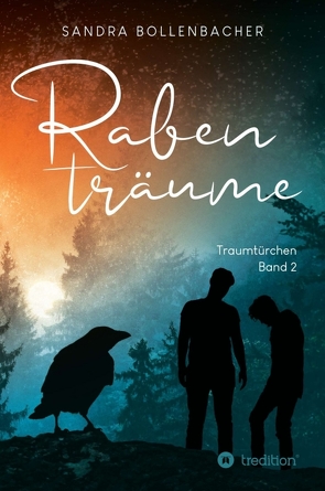 Rabenträume – Traumtürchen Band 2 von Bollenbacher,  Sandra