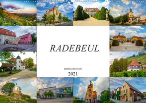 Radebeul Imressionen (Wandkalender 2021 DIN A2 quer) von Meutzner,  Dirk