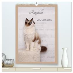 Ragdolls zum Verlieben (hochwertiger Premium Wandkalender 2024 DIN A2 hoch), Kunstdruck in Hochglanz von Reiß-Seibert,  Marion