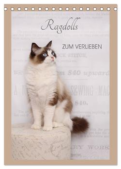 Ragdolls zum Verlieben (Tischkalender 2024 DIN A5 hoch), CALVENDO Monatskalender von Reiß-Seibert,  Marion