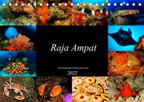 Raja Ampat – Faszinierende Unterwasserwelt (Tischkalender 2022 DIN A5 quer) von H. Kraus,  Martin