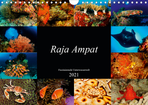 Raja Ampat – Faszinierende Unterwasserwelt (Wandkalender 2021 DIN A4 quer) von H. Kraus,  Martin