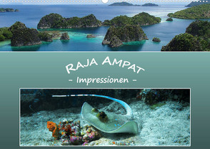 Raja Ampat – Impressionen (Wandkalender 2023 DIN A2 quer) von Niemann,  Ute