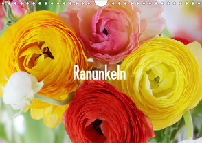 Ranunkeln (Wandkalender 2021 DIN A4 quer) von Kruse,  Gisela