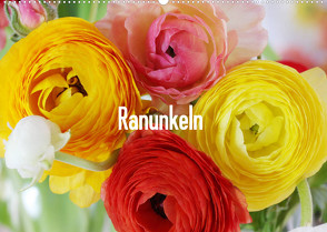 Ranunkeln (Wandkalender 2023 DIN A2 quer) von Kruse,  Gisela