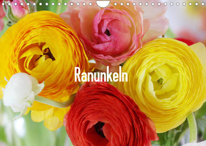 Ranunkeln (Wandkalender 2023 DIN A4 quer) von Kruse,  Gisela