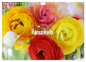 Ranunkeln (Wandkalender 2024 DIN A4 quer), CALVENDO Monatskalender von Kruse,  Gisela