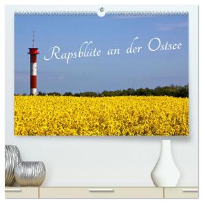 Rapsblüte an der Ostsee (hochwertiger Premium Wandkalender 2024 DIN A2 quer), Kunstdruck in Hochglanz von - BRA - ROLF BRAUN - OSTSEEFOTOGRAF,  RO