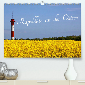 Rapsblüte an der Ostsee (Premium, hochwertiger DIN A2 Wandkalender 2023, Kunstdruck in Hochglanz) von - BRA - ROLF BRAUN - OSTSEEFOTOGRAF,  RO