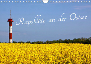 Rapsblüte an der Ostsee (Wandkalender 2023 DIN A4 quer) von - BRA - ROLF BRAUN - OSTSEEFOTOGRAF,  RO