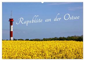 Rapsblüte an der Ostsee (Wandkalender 2024 DIN A2 quer), CALVENDO Monatskalender von - BRA - ROLF BRAUN - OSTSEEFOTOGRAF,  RO