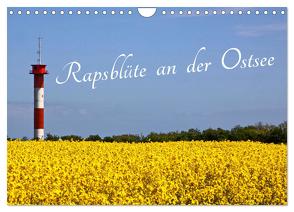 Rapsblüte an der Ostsee (Wandkalender 2024 DIN A4 quer), CALVENDO Monatskalender von - BRA - ROLF BRAUN - OSTSEEFOTOGRAF,  RO