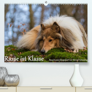 Rasse ist Klasse (Premium, hochwertiger DIN A2 Wandkalender 2022, Kunstdruck in Hochglanz) von Schmäing,  Werner