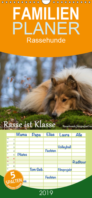 Rasse ist Klasse – Rassehunde – Familienplaner hoch (Wandkalender 2019 , 21 cm x 45 cm, hoch) von Schmäing,  Werner