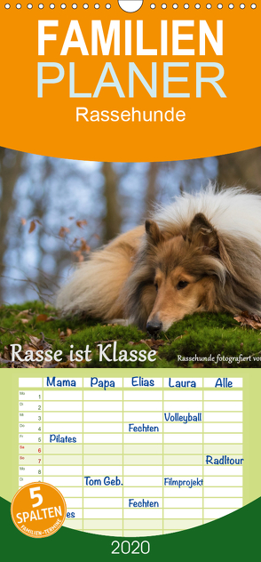 Rasse ist Klasse – Rassehunde – Familienplaner hoch (Wandkalender 2020 , 21 cm x 45 cm, hoch) von Schmäing,  Werner