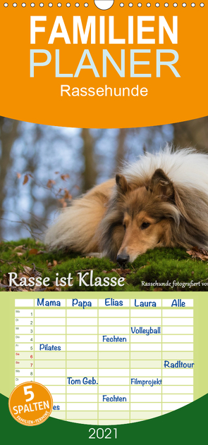 Rasse ist Klasse – Rassehunde – Familienplaner hoch (Wandkalender 2021 , 21 cm x 45 cm, hoch) von Schmäing,  Werner