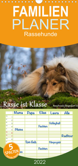 Rasse ist Klasse – Rassehunde – Familienplaner hoch (Wandkalender 2022 , 21 cm x 45 cm, hoch) von Schmäing,  Werner