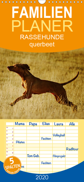 RASSEHUNDE querbeet – Familienplaner hoch (Wandkalender 2020 , 21 cm x 45 cm, hoch) von Köntopp,  Kathrin