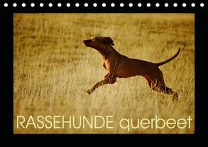 RASSEHUNDE querbeet (Tischkalender 2020 DIN A5 quer) von Köntopp,  Kathrin