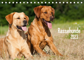 Rassehunde (Tischkalender 2023 DIN A5 quer) von Dzierzawa,  Judith