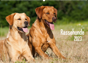 Rassehunde (Wandkalender 2023 DIN A2 quer) von Dzierzawa,  Judith