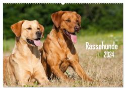 Rassehunde (Wandkalender 2024 DIN A2 quer), CALVENDO Monatskalender von Dzierzawa,  Judith