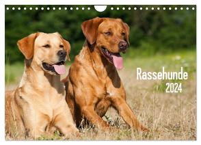 Rassehunde (Wandkalender 2024 DIN A4 quer), CALVENDO Monatskalender von Dzierzawa,  Judith