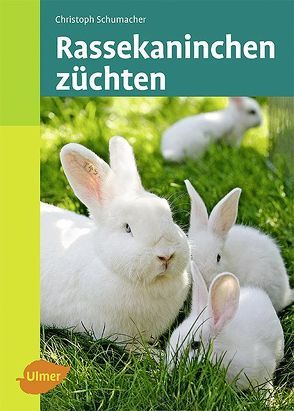 Rassekaninchen züchten von Schumacher,  Christoph