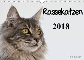 Rassekatzen 2018 (Wandkalender 2018 DIN A4 quer) von Bollich,  Heidi