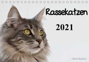 Rassekatzen 2021 (Tischkalender 2021 DIN A5 quer) von Bollich,  Heidi