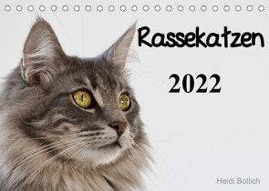 Rassekatzen 2022 (Tischkalender 2022 DIN A5 quer) von Bollich,  Heidi