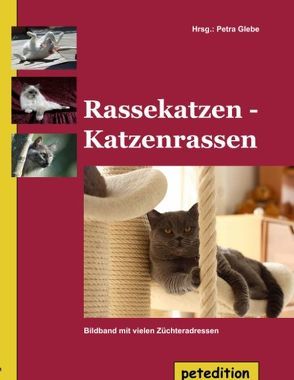 Rassekatzen – Katzenrassen von Glebe,  Petra