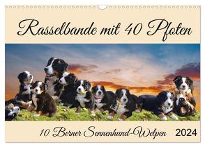 Rasselbande mit 40 Pfoten (Wandkalender 2024 DIN A3 quer), CALVENDO Monatskalender von Kleemann,  Claudia