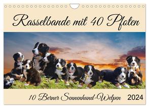 Rasselbande mit 40 Pfoten (Wandkalender 2024 DIN A4 quer), CALVENDO Monatskalender von Kleemann,  Claudia