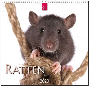 Ratten von Redaktion Verlagshaus Würzburg,  Bildagentur