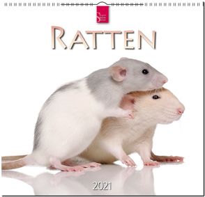 Ratten