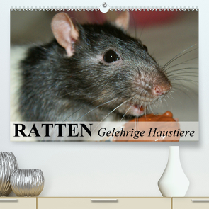 Ratten – Gelehrige Haustiere (Premium, hochwertiger DIN A2 Wandkalender 2021, Kunstdruck in Hochglanz) von Stanzer,  Elisabeth