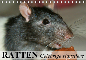 Ratten – Gelehrige Haustiere (Tischkalender 2021 DIN A5 quer) von Stanzer,  Elisabeth