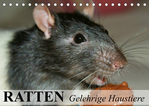 Ratten – Gelehrige Haustiere (Tischkalender 2022 DIN A5 quer) von Stanzer,  Elisabeth