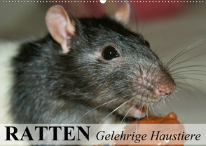 Ratten – Gelehrige Haustiere (Wandkalender 2021 DIN A2 quer) von Stanzer,  Elisabeth